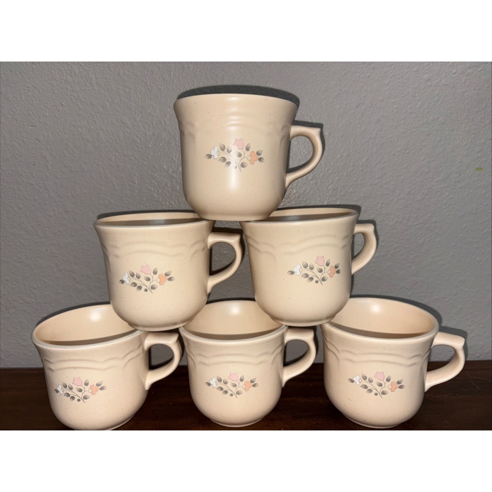 Set of 6 Pfaltzgraff "Remembrance"Mugs 3 1/4"